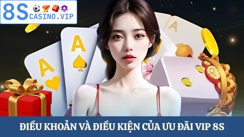 Điều khoản và điều kiện ưu đãi VIP 8S
