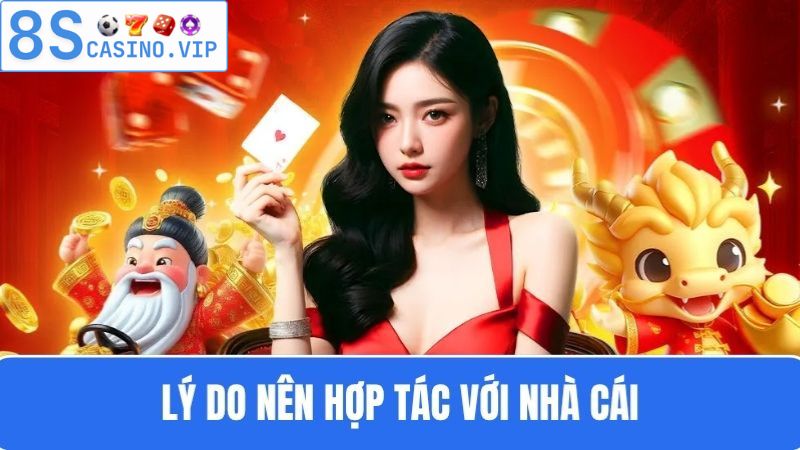 Lý do hợp tác đại lý 8S