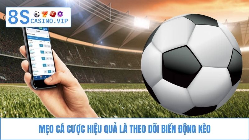 Mẹo cá cược hiệu quả theo dõi biến động kèo