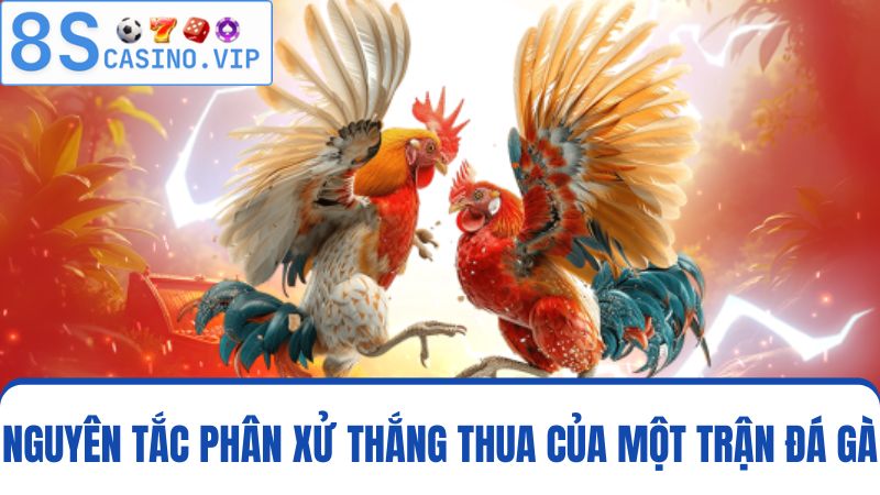 quy tắc quyết định thắng thua của đá gà 8S