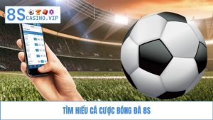 cá cược bóng đá 8S