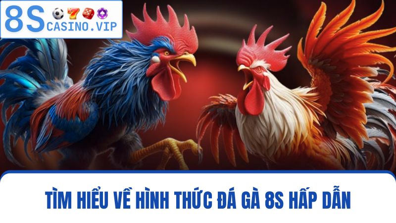 đá gà 8S